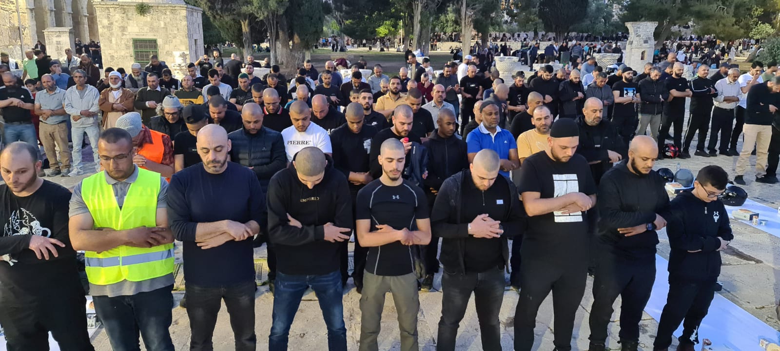 WhatsApp Image 2022-04-27 at 12.37.32 AM (2).jpeg